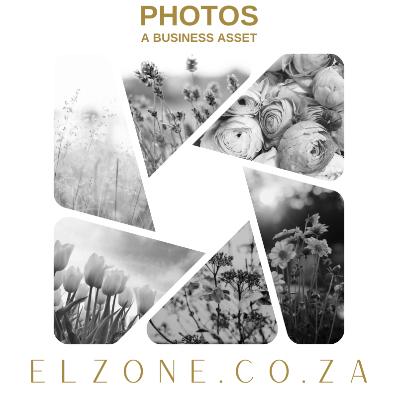 PHOTOS – A Business Asset